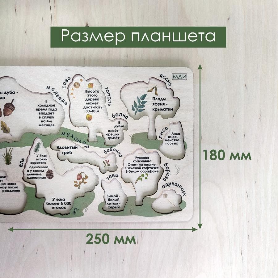 Развивающий планшет на лексическую тему "Лес" — фото 5